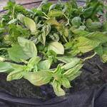 Stack!t - Collapsible Herb and Flower Drying Rack