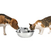 Stainless Steel Pet Drinking Fountain