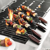 Stainless Steel Skewers with Pakkawood Handles