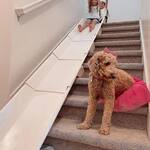 StairSlide - Expandable Staircase Slide Playset