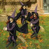 Staked Yard Witches