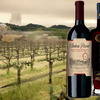 Star Trek Chateau Picard Wine