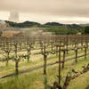 Star Trek Chateau Picard Wine