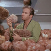 Star Trek Interactive Tribbles
