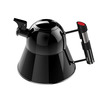 Star Wars Darth Vader Stovetop Tea Kettle