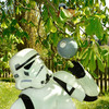Star Wars Death Star Birdhouse