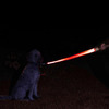 Star Wars Lightsaber Illuminated Dog Leash w/ Sound Effects