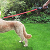 Star Wars Lightsaber Illuminated Dog Leash w/ Sound Effects