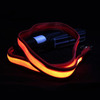 Star Wars Lightsaber Illuminated Dog Leash w/ Sound Effects