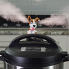 SteamMates - Funny Instant Pot Steam Diverters