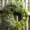 Succulent Living Wreath