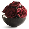 Sugar Roses