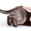 SuperCat Caves - Catnip-Infused Brown Grocery Bags