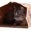 SuperCat Caves - Catnip-Infused Brown Grocery Bags