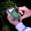Survival Kit in a Sardine Can