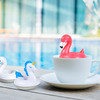 Swan Pool Float Tea Infuser
