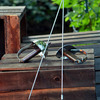 Swashbuckling Sword Campfire Roasters