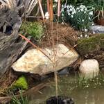 Swaying Copper Cattail Wind Chimes