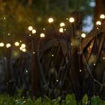 Swaying Firefly Garden Lights