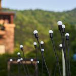 Swaying Firefly Garden Lights