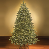Switchable Color Prelit Christmas Tree