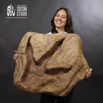 T-Rex Dinosaur Footprint Fossil Replica