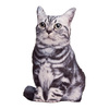 Tabby Cat Pillow