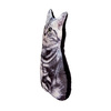 Tabby Cat Pillow