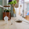 Tea Diver