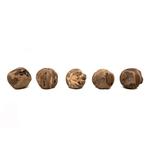 Teak Root Ball Sculptures