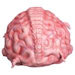 Teenage Mutant Ninja Turtles Life-Sized Krang Prop