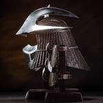 Teenage Mutant Ninja Turtles Shredder Life-Sized Stainless Steel Armor