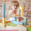 Tegu - Magnetic Wooden Blocks
