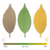 Temperature Sensitive Leaf Thermometers