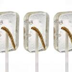 Tequila-Flavored Suckers with a Real Tequila Worm / Mezcal Moth Larva