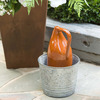 Terra Cotta Thumb Pot Watering Jug