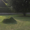 TERRA! Grass Chair For Your Backyard