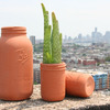 Terracotta Mason Jar Pots
