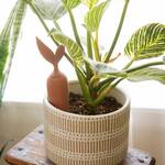 Terracotta Plant Watering Stake / Carrot