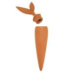 Terracotta Plant Watering Stake / Carrot