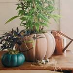 Terracotta Pumpkin Planters