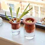 Terracotta Regrower - Regrow Vegetables from Kitchen Scraps