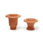 Terracotta Regrower - Regrow Vegetables from Kitchen Scraps