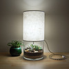 Terrarium / Display Table Lamp