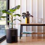 Terrazza Glass Planter