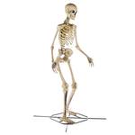 Gigantic 12 Foot Skeleton With Animated LCD Eyes
