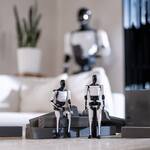 Tesla Bot Action Figure