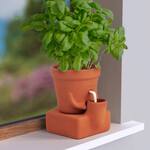Thirsty Planter – Whimsical Self-Watering Planter Pot