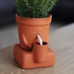 Thirsty Planter – Whimsical Self-Watering Planter Pot