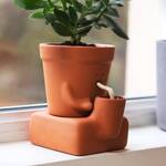 Thirsty Planter – Whimsical Self-Watering Planter Pot
